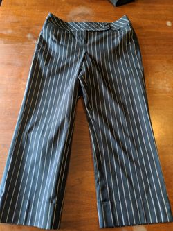 Ann Taylor 4 Petites Dress Pants
