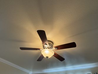 Ceiling Fan