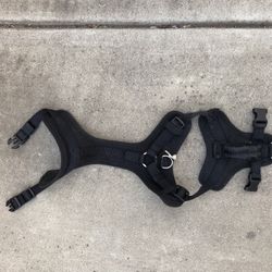 Harness