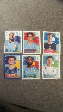 FIFA Panini Stickers