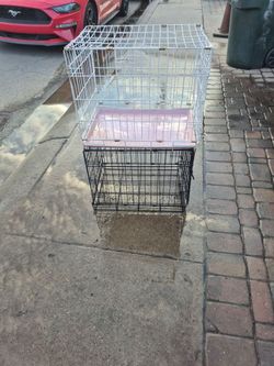 Casa para perros 24×18