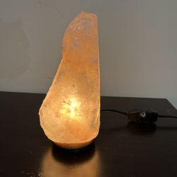 Himalayan Salt Lamp Adjustable Light Fixture
