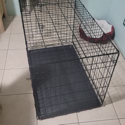 Medium To Large Kennel