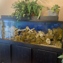 Fish Tank Aquarium 