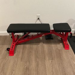 Lifeline Steel Weight Bench 