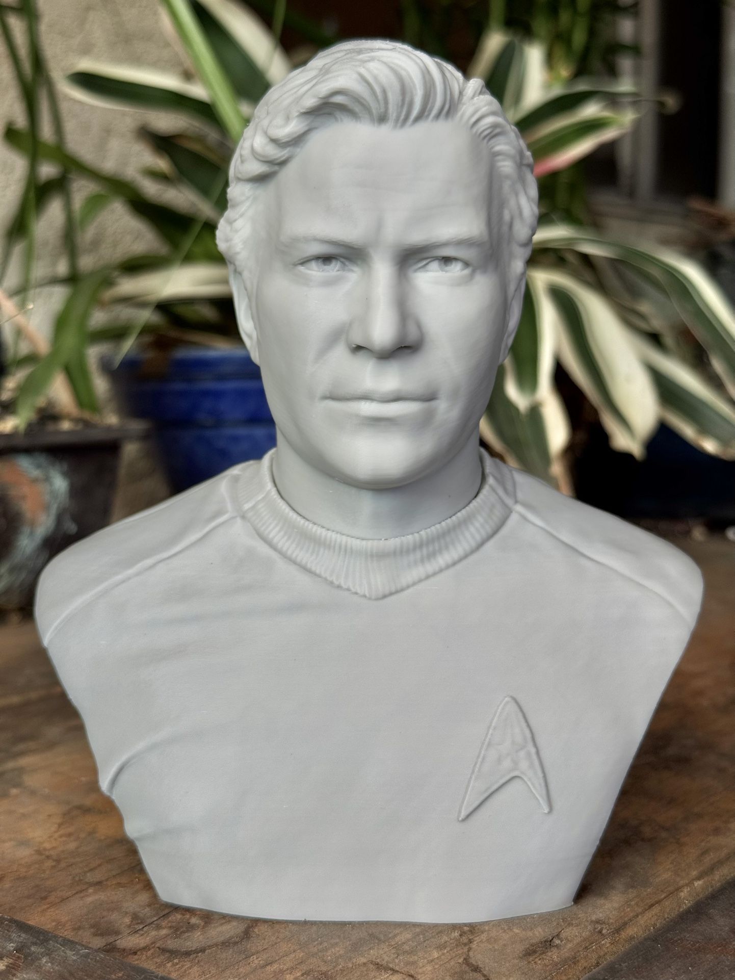 Star Trek TOS Captain Kirk Bust 3D Printed Statue 6.5” – James T. Kirk Fan Art