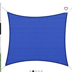 Brand New Sail 16x24