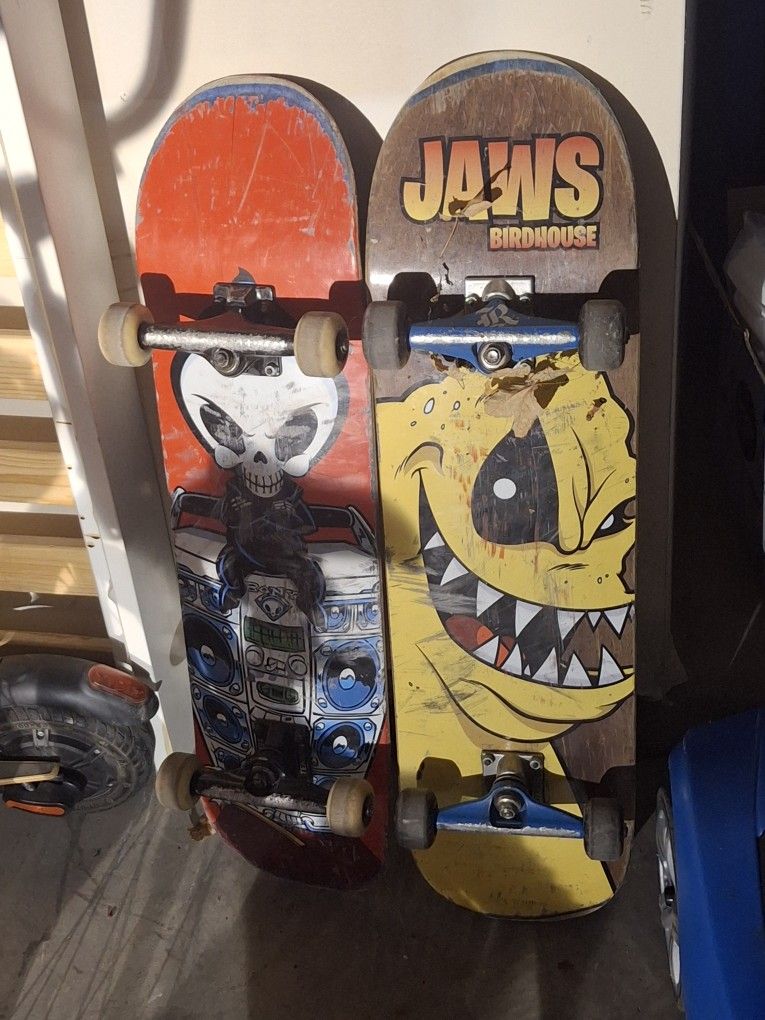 Two Skateboard Good Condition One Is A blind Board And The Second One Is A Bird House Board.