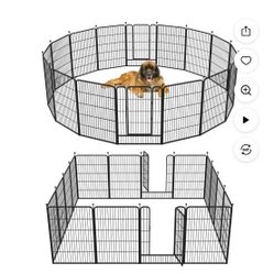 KENNEL.   New