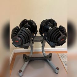 BowFlex SelectTech Dumbells 10-90lbs with Stand – Staten Island, NY