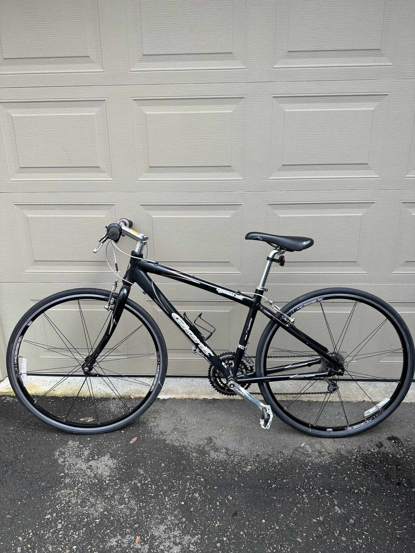 giant cypress sx for sale