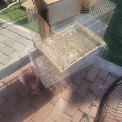 Caja De Pajaros