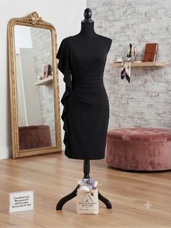 NWOT WHBM ruffled midi dress-00 & handmade Beauty gift bag