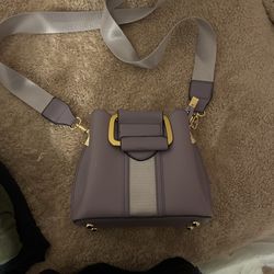 Tiny Purple Purse 