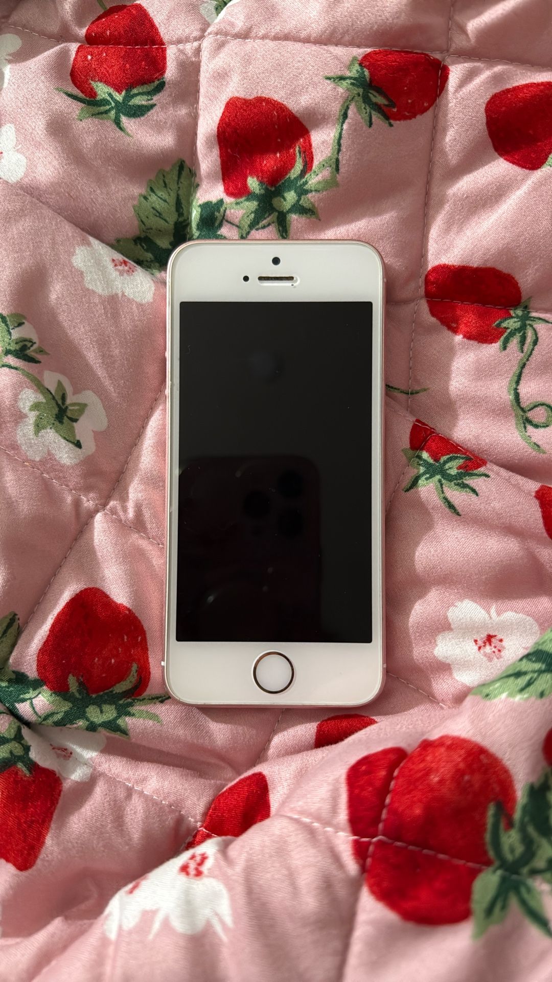 iPhone SE 1st Gen
