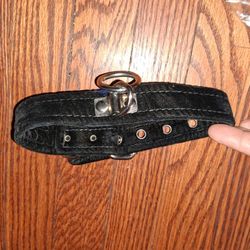 Blk Velvet Collar W/Silver Color Buckle 1 1/2 Ft. / 1 In. (NEW)