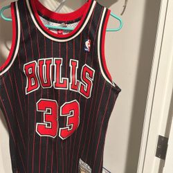 Pippen Jersey 