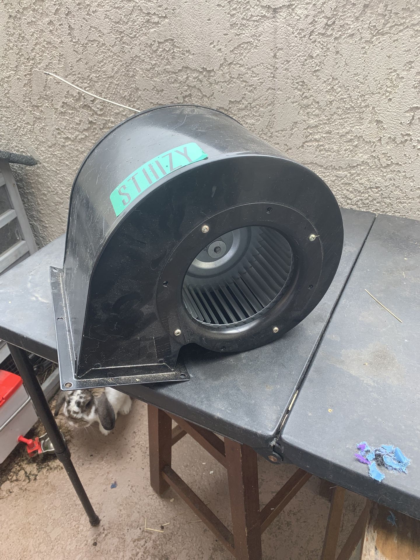Snail Fan
