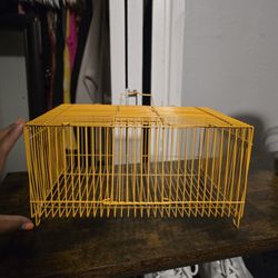 Bird Cage 