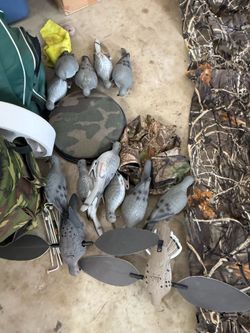 Hunting  doves decoys