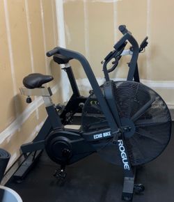 Rogue Echo Bike