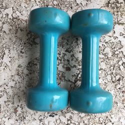 5 Lb Dumbbell Pair 