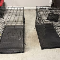 Dog Kennel