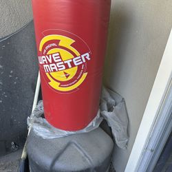 Wave Master Punching Bag