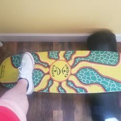 Indo Board 
