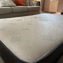 Full Size Bed - Medium Firm 