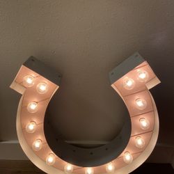 Horseshoe Decorative Light