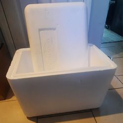 Large Styrofoam Cooler - $7