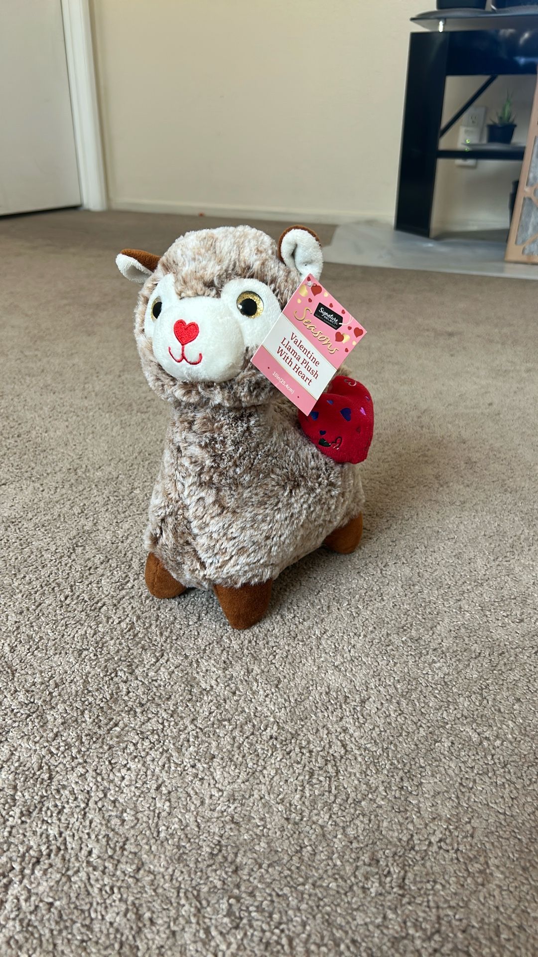 Stuffed Animal 