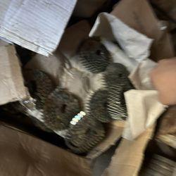 roofing nails