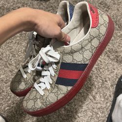 Gucci Aces