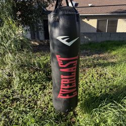 Punching Bag Everlast Like New!!!