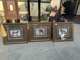Set of 3 Framed Safari Animal Art Prints