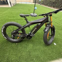 26” Fat Tire E-bike 