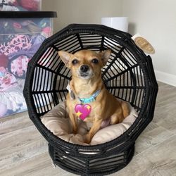 Cat Bed / Dog Bed Home Goods