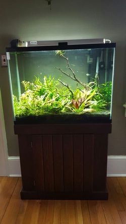 37 gallon aquarium clearance stand
