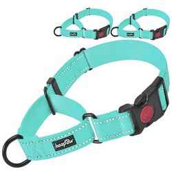 Haapaw Martingale Dog Collar with Quick Release Buckle Reflective Dog Training Collars for Small Medium Large Dogs(2 Packs) (Medium, Turquoise/Turquoi