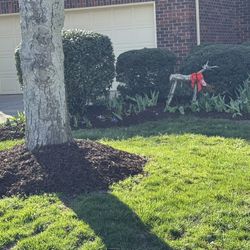 mulch installation
