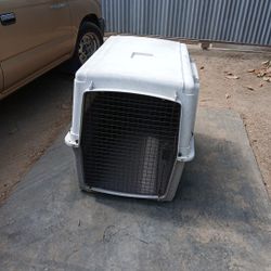 Dog Hose 40  X  26. X. 28