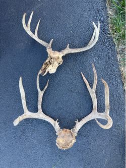 Hunting man cave decor antlers