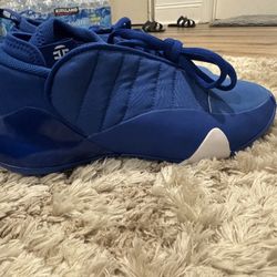 Adidas Harden Vol 7