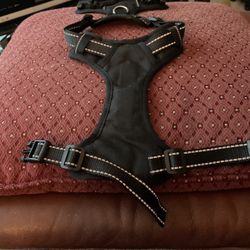 Dog Harness