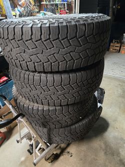 Falken Wild Peak Rubitrek 18"