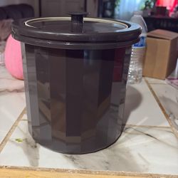 Tupperware Container 