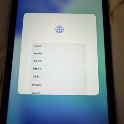 Unlocked iPad mini