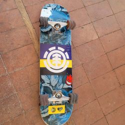 Skateboard
